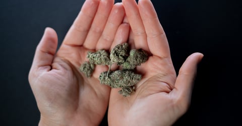 Key Considerations for Minnesota Business Owners Regarding Marijuana Legalization